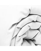 Drap Housse blanc