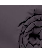 Drap Housse gris