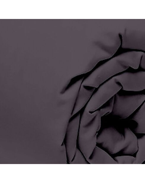 Drap Housse gris