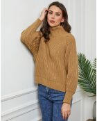 Pull 100% Laine Baby camel