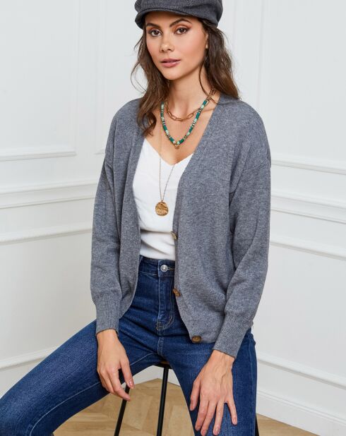 Gilet en Cachemire mélangé Gino gris