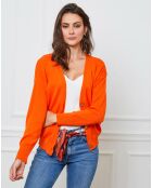 Gilet en Cachemire mélangé Gino orange