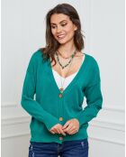 Gilet en Cachemire mélangé Gino vert