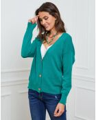 Gilet en Cachemire mélangé Gino vert