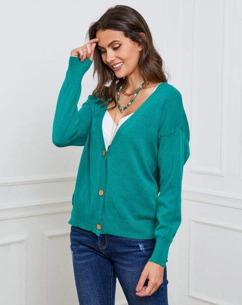 Gilet en Cachemire mélangé Gino vert