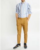Chemise Regular Fit en Coton Oxford rayée bleu/rose