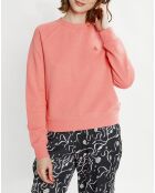 Sweat Crewneck Raglan rose