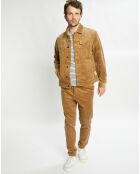 Pantalon Slim Fit en Velours côtelé Warren Corduroy camel