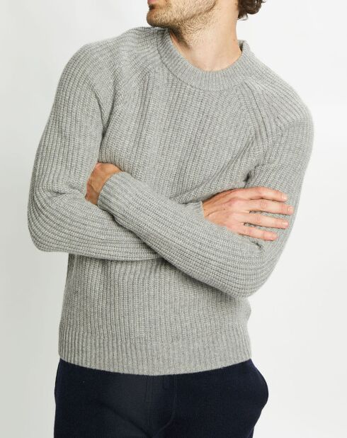 Pull en Laine & Cachemire Poterond col rond gris clair