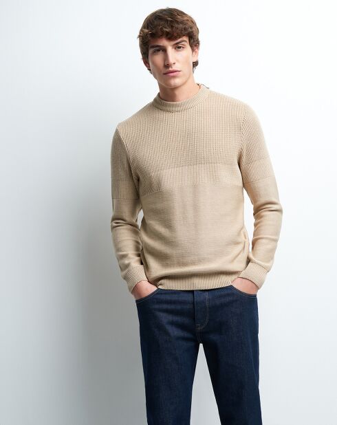 Pull Paxon beige automne