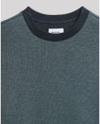 Sweat Tvista vert classic