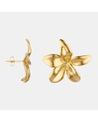 Boucles d'oreilles Oceane Acier Inoxydable dorées