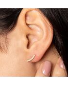 Boucles d'oreilles Merveille grimpantes or jaune