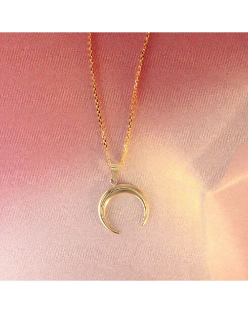 Pendentif Demi lune or jaune