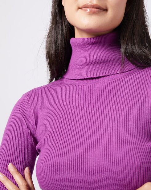 Pull col roulé en Maille fine côtelée violet vif