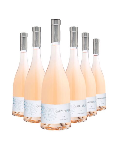 6 Carpe Horam 2024 by Ch. de Saint-Martin 6x75cl