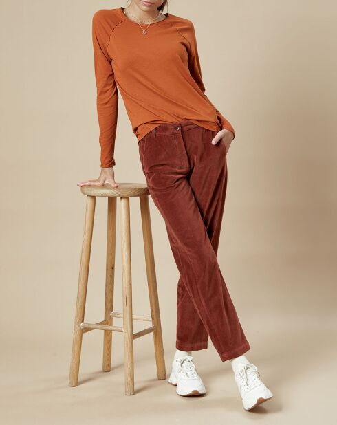 Pantalon en Velours Perfect cacao