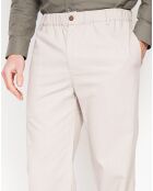 Pantalon en Lin mélangé Amir lin