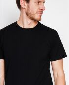 T-Shirt en Lin mélangé Paul noir