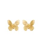 Puce Butterfly dorées