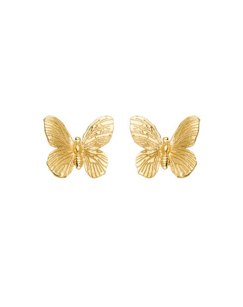 Puce Butterfly dorées