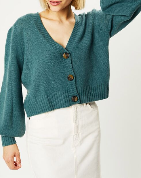 Cardigan 100% Cachemire Dimitri col V vert de gris
