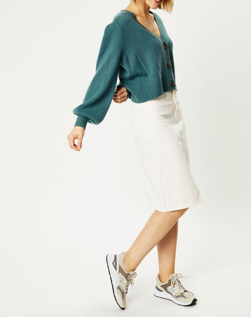 Cardigan 100% Cachemire Dimitri col V vert de gris