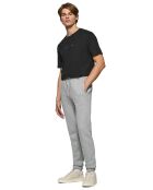 Pantalon Ades Jogger gris vigore