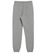 Pantalon Ades Jogger gris vigore