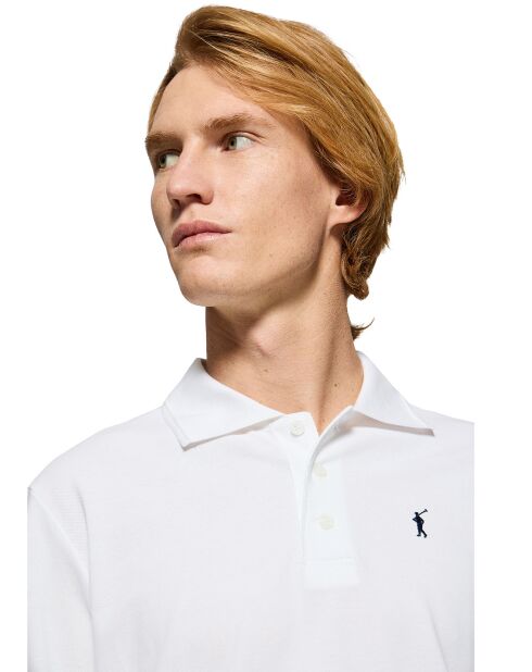 2 Polos multicolores