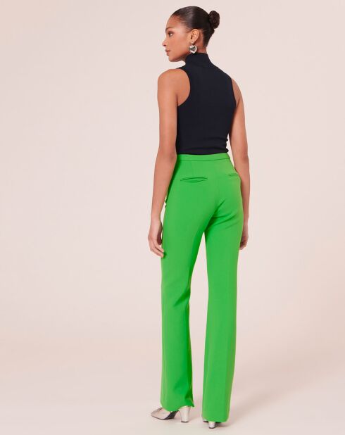 Pantalon en toile double vert