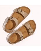 Sandales en Velours de Cuir Ines taupe