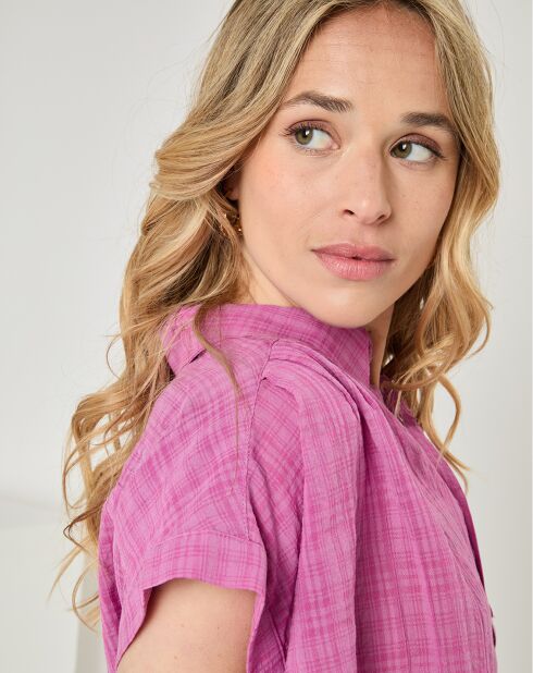 Top Alix rose