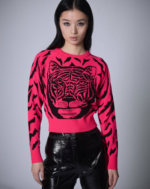 Pull Graou     rose