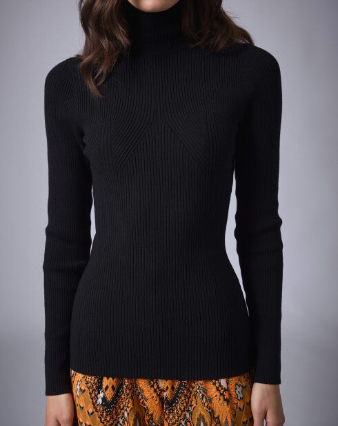 Pull col roulé Petite Côte   noir