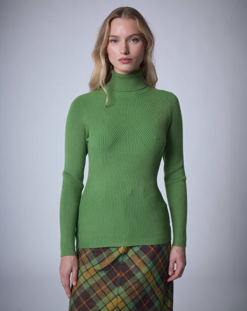 Pull col roulé Petite Côte   vert