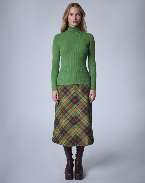 Pull col roulé Petite Côte   vert