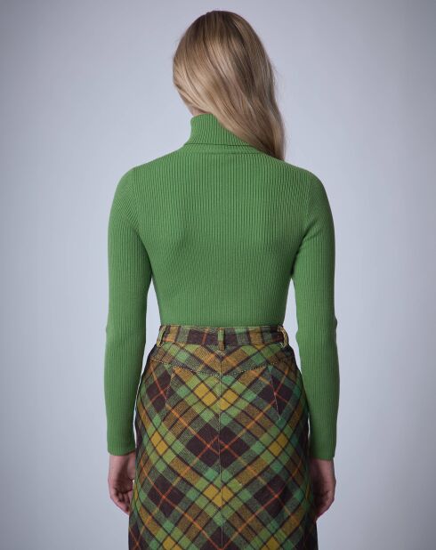 Pull col roulé Petite Côte   vert