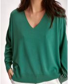 Pull Pastel sauge
