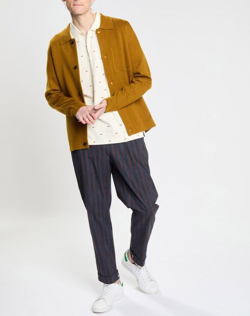 Pantalon Chino Slim Fit Tapered à rayures bleu marine/marron
