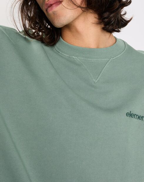 Cornell 3.0 hellgrünes Sweatshirt