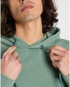 Sweat Cornell 3.0 vert clair