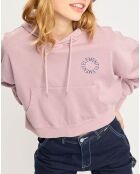 Sweat à capuche Glacier rose
