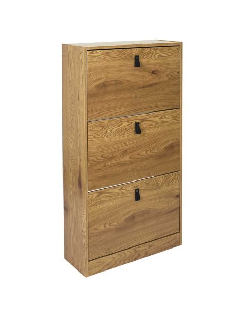 Meuble à Chaussures 3 Portes Abbott marron - 63x24x117 cm