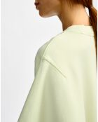 Sweat Salva honeydew