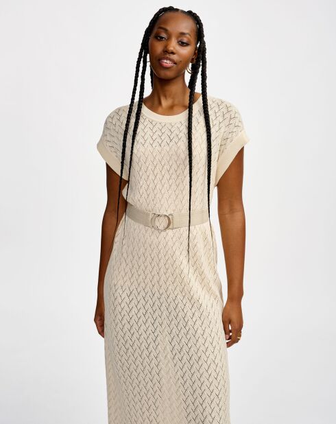 Robe Gopmi swan