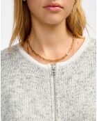 Cardigan Gase antartica