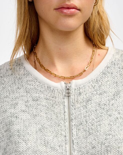 Cardigan Gase antartica