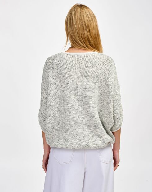 Cardigan Gase antartica