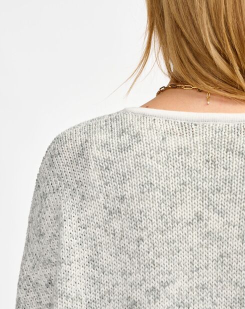 Cardigan Gase antartica